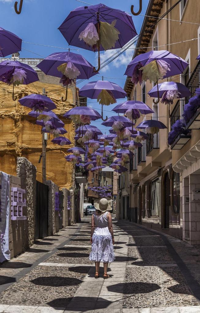 Apartamentos Tierra Lavanda Brihuega Εξωτερικό φωτογραφία